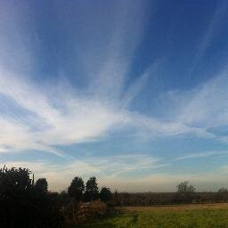 wxmodify's profile picture. 