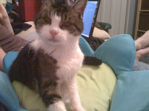 Curlyminx's profile picture. Bead-obsessed, felts and knits, smiles at dogs, craves Wales