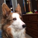 David Jackman - @djackman6 - Twitter