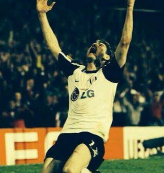 thefulhamgoose's profile picture. 