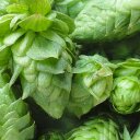 Derek Testerman - @DWreckBCB - Twitter