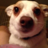 Nia Maxwell (@maxwellnia) 's Twitter Profile Photo Nia Maxwell (@maxwellnia) 's Twitter Profile Photo