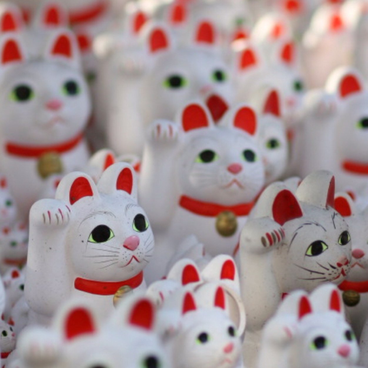 homemadefxxx's profile picture. 