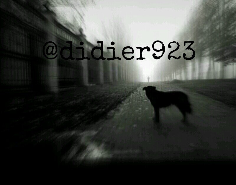 Didier923's profile picture. ab ovo usque ad mala (desde el principio al fin)... Soy un idealista, no sé dónde voy, pero estoy en camino!