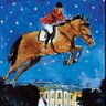 woodmanmonroe's profile picture. Hey y'all! Wife. Mom. Politico. Horse Lady. Traveler. Living in the South. Proud 2x LSU grad.