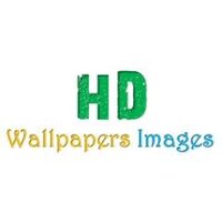 HD Wallpapers Images(@hdwallpapersim) 's Twitter Profile Photo