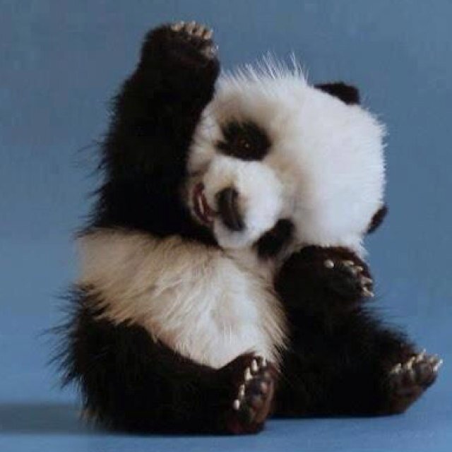 lbayless11's profile picture. 