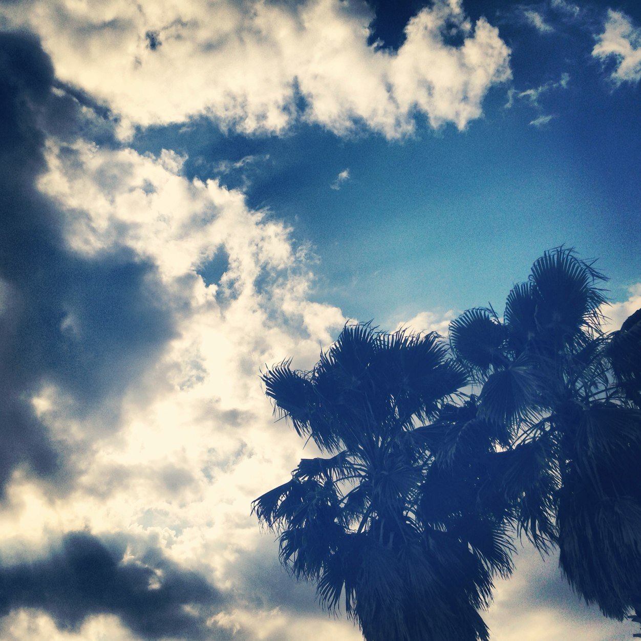 Fortitude_AU's profile picture. 