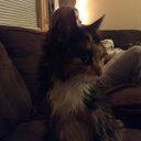 Daniel Tull - @chiperoloo - Twitter