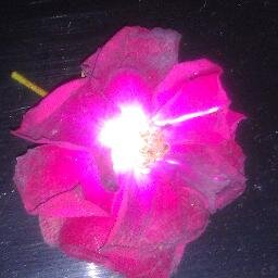 mama_de_dos's profile picture. Mother, wife, daughter, sister, auntie. Perfectionist, over-achiever, life-long learner. Teacher, tutor, mentor. Reader, writer, dreamer...