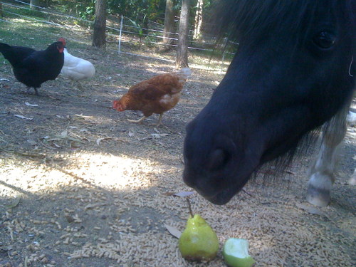 aussiefarmer's profile picture. 