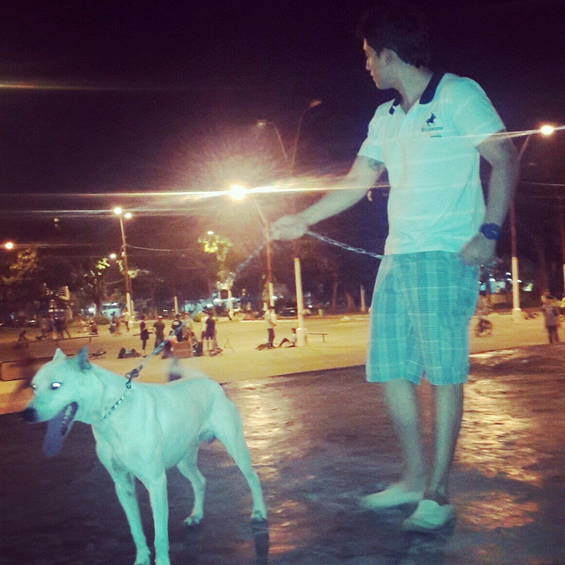 Francuevas95's profile picture. Ni Bollo Men(: