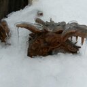 William Wallingford  - @W_Wallingford - Twitter