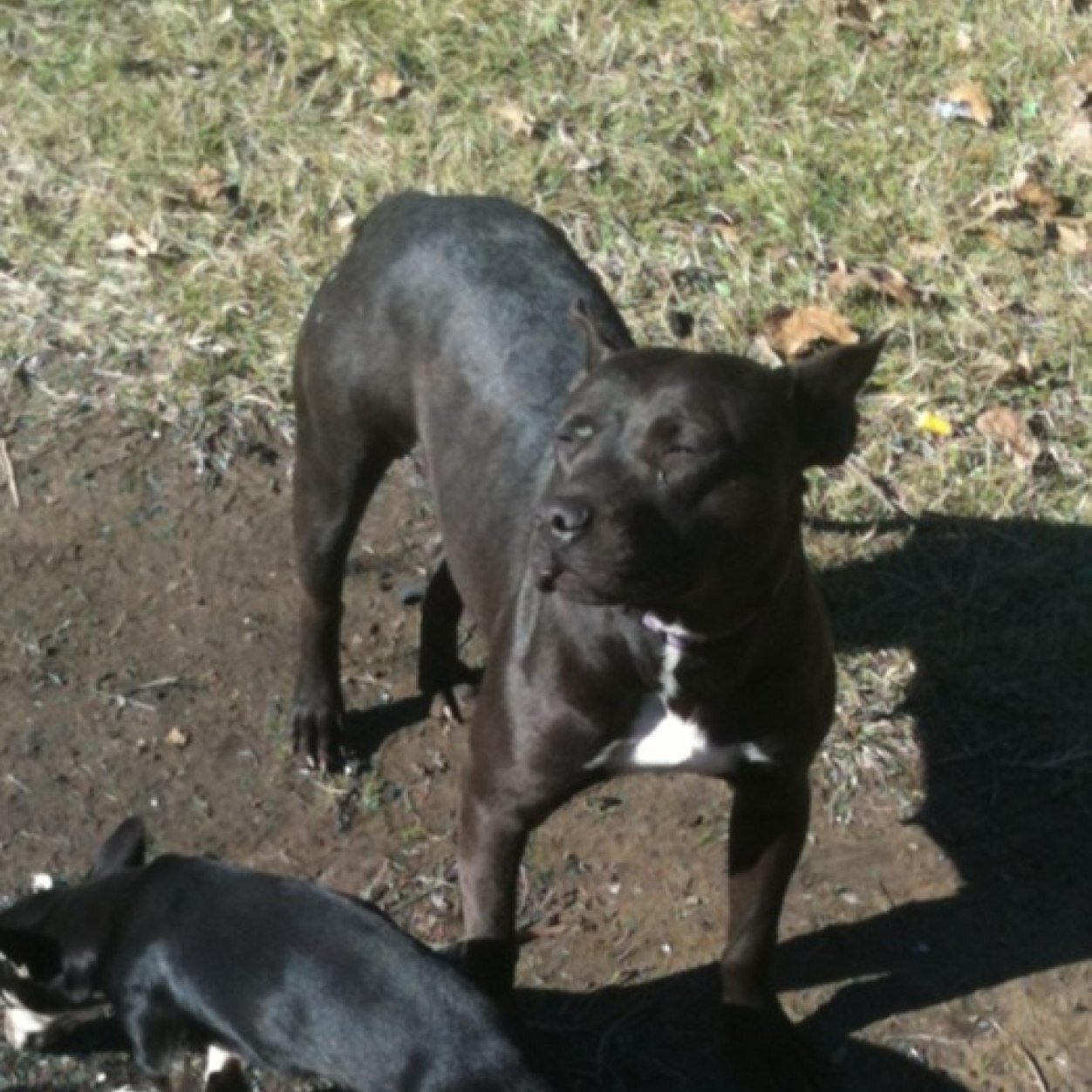 santafesouthern's profile picture. 