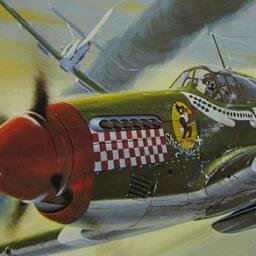 lovetofly67's profile picture. 