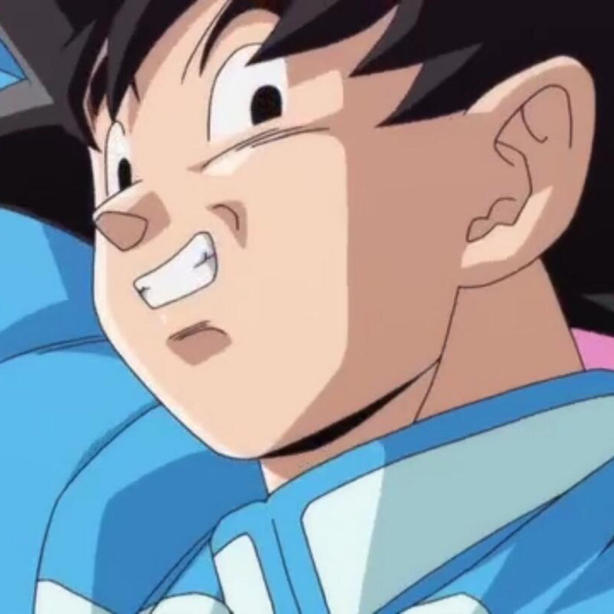 Hi i'm Goku! Savior of all evil and I will protect the innocent!
