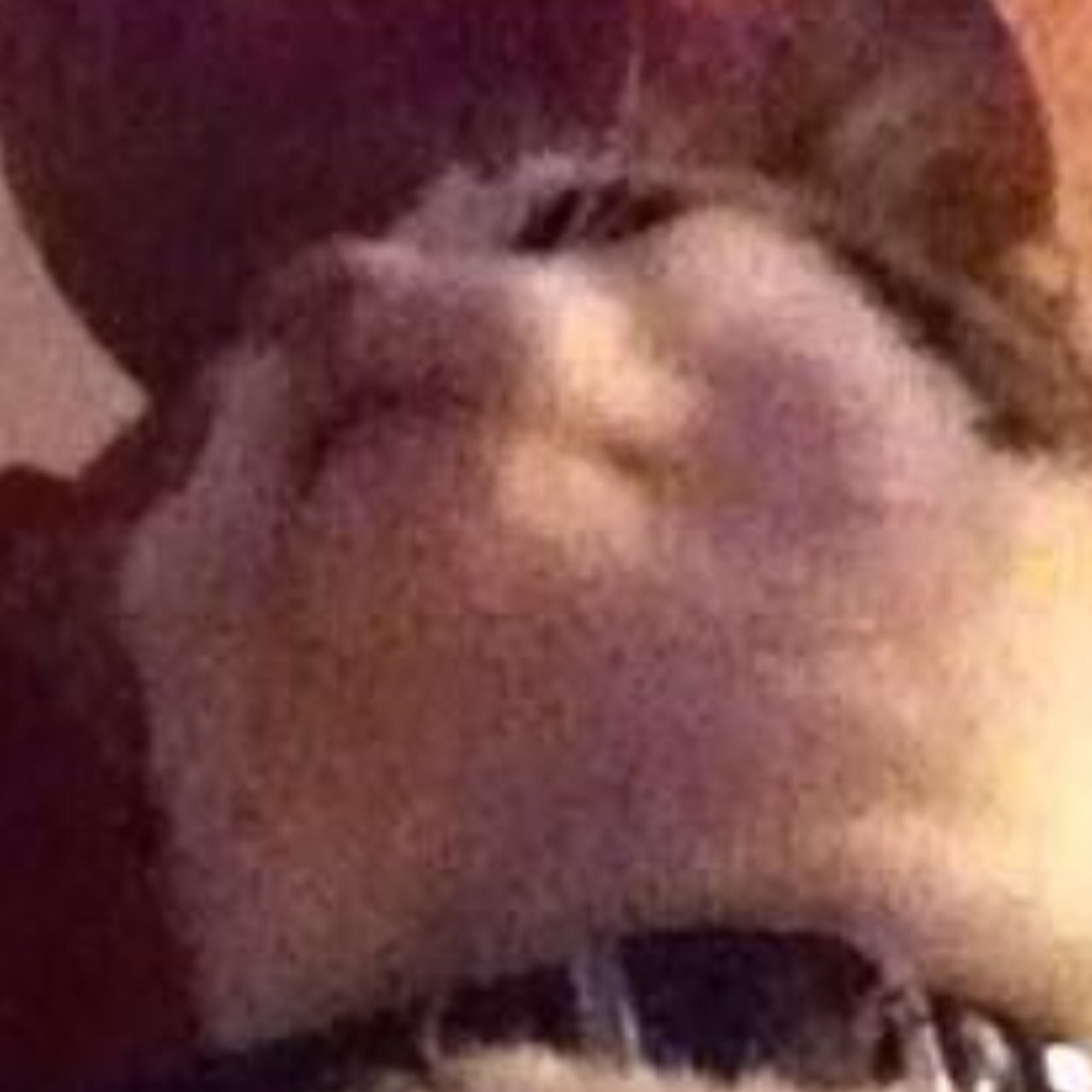 AwesomeTurbo's profile picture. You can have sex in video games and trust me, my characters aren't virgins