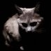 .pudhippieeiei (@pudpudpps) Twitter profile photo