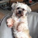 Daniel Eudy - @daniel_eudy - Twitter