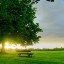 हरे कृष्ण