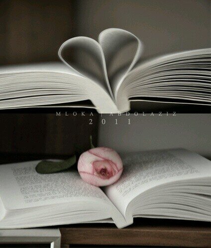 1234wrd's profile picture. سبحان الله وبحمده .. سبحان الله العظيم