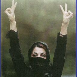 massoudmorshed's profile picture. 