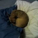 Bella Rodgers - @BellaRodgers95 - Twitter