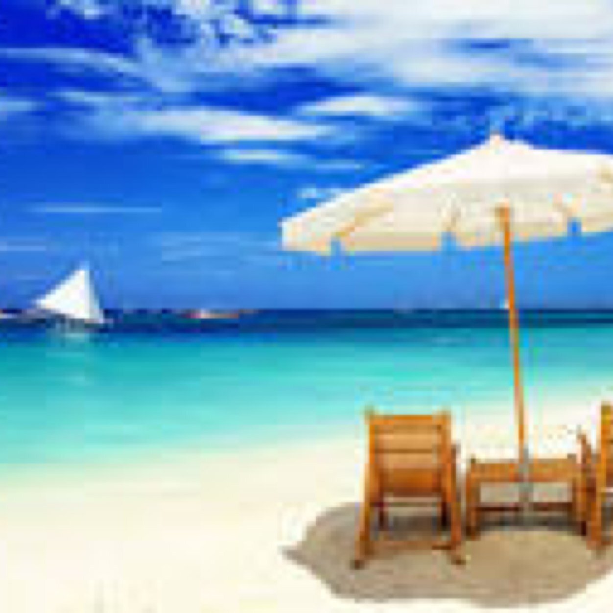 TanBarbieandKen's profile picture. Soaking up the sun #RollTide