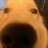 that_words's profile image