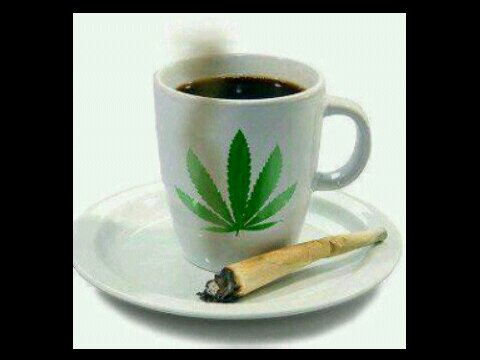 starbeach3's profile picture. Santai