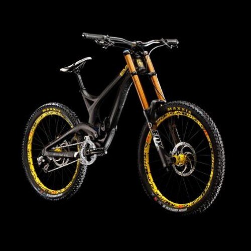 WillHead77's profile picture. I love anything with two wheels!!