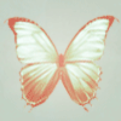 Butterfly Dreamer & transmasc queer illustrator. he/him. here you'll find art shenanigans involving my IP Requiem. sometimes i post pictures of my cat
