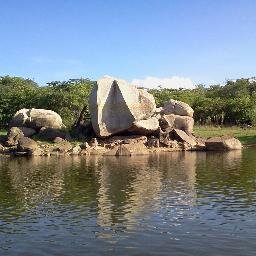 NatP2014's profile picture. Bridge builder