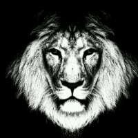 mrdan_j's profile picture. C.E.O Diron Ushering Services.. I'm d exception 2 every rule! #TeamLEBG! Publicist strictly for LEBGent. & mayor teeshay!!