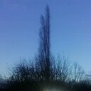 Peter Hawes - @captainsplat81 - Twitter