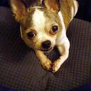 Whitney W. - @WhitneyBrett - Twitter