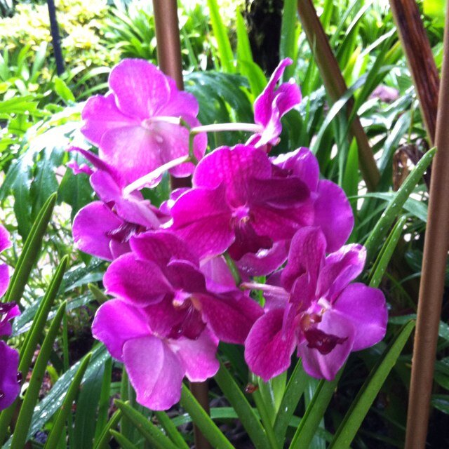 Grubby81's profile picture. 