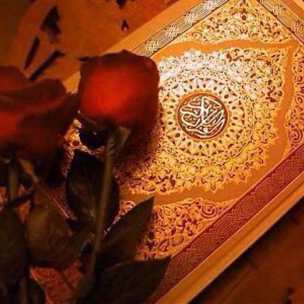 أسـأٓلُك يٓ الله أثراً حسـٓنـاً ينْمُـو بٓـعْدٓ رٓحِـيِلـِي كٓســٓنابِلٍ مِن نُــور حٓتـىٰ يـٓصِـل الضِْيآءُ إِلٓىٰ قٓبرِي - - - {الخــاص ممنوع}