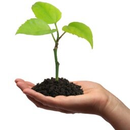 Self Awareness – The cornerstone of all learning. This awareness is critical, as it leaves the decision-making process with the individual.