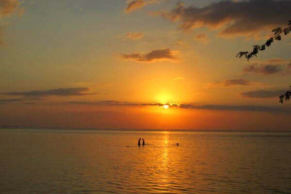 Always looking for a new sunshine.