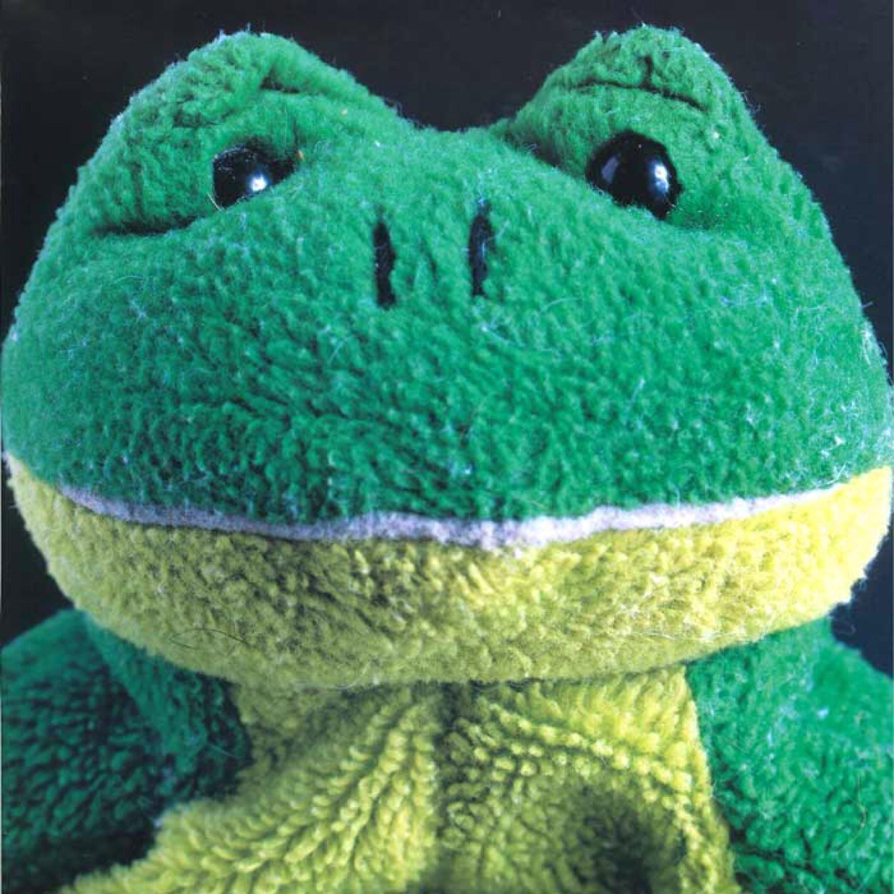 kazpoko69's profile picture. 音楽、お酒、料理