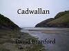 Cadwallan's profile picture. Second World War spy thriller set in rural Wales. Get for kindle here http://t.co/hftq1nngR8.  Cadwallan@gmail.com for enquires