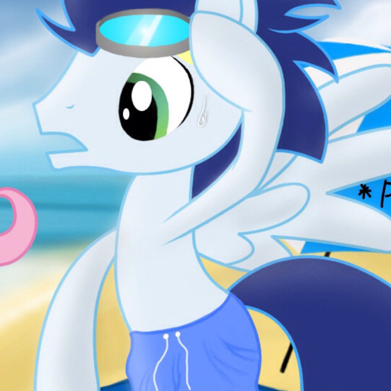 Mlp:Im soarin 1 of the 3 best wonderbolts and looking for more EG: head of the football team at CHS