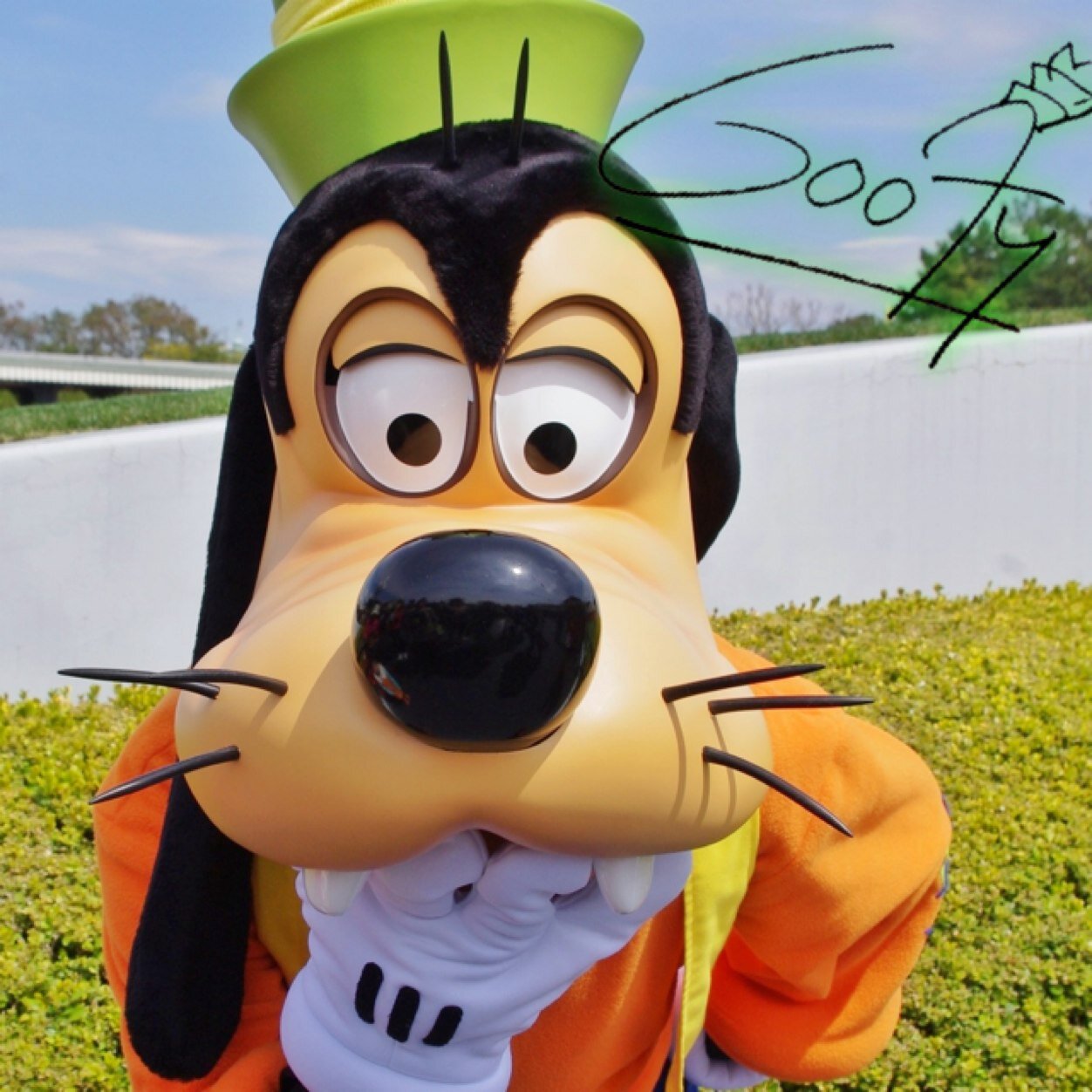 ぐふさんのプロフィール画像