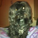 alyson grace moore - @alysongracemoor - Twitter