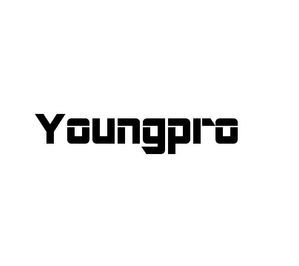 Young Professionals' Info and events