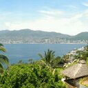 jesse lam - @lam_hl5815 - Twitter