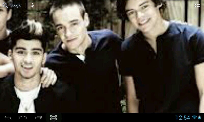 i am a 1directioner i love harry styles and twilight