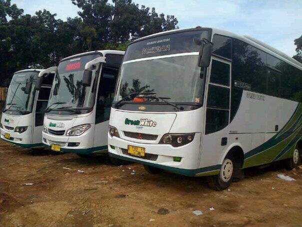 Pariwisata Depok: Menggali Potensi Lewat Armada Bus Pariwisata yang Handal