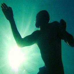 Cinematographer Director of photography + Underwater photographer